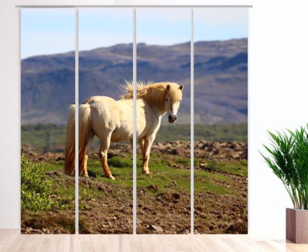Islandpferd, Flächenvorhang 4er Set